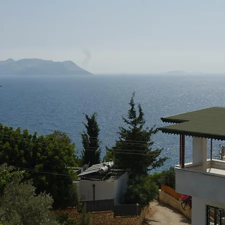 Kaktus Kaş