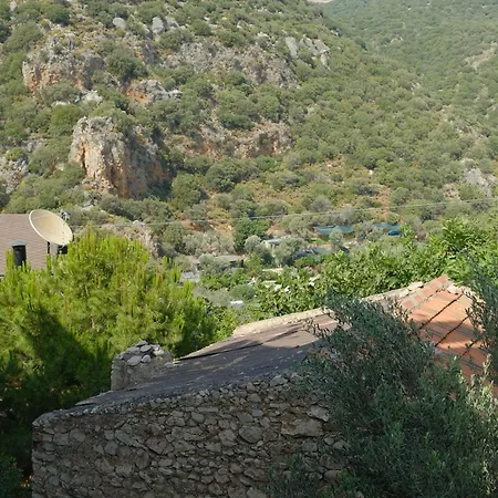 Kaktus Hotel apartamentowy *