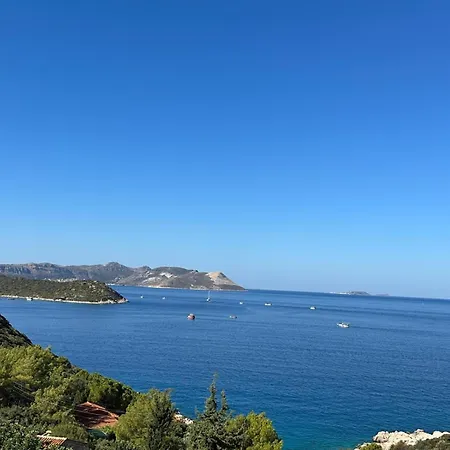 Kaktus Hotel apartamentowy 3*